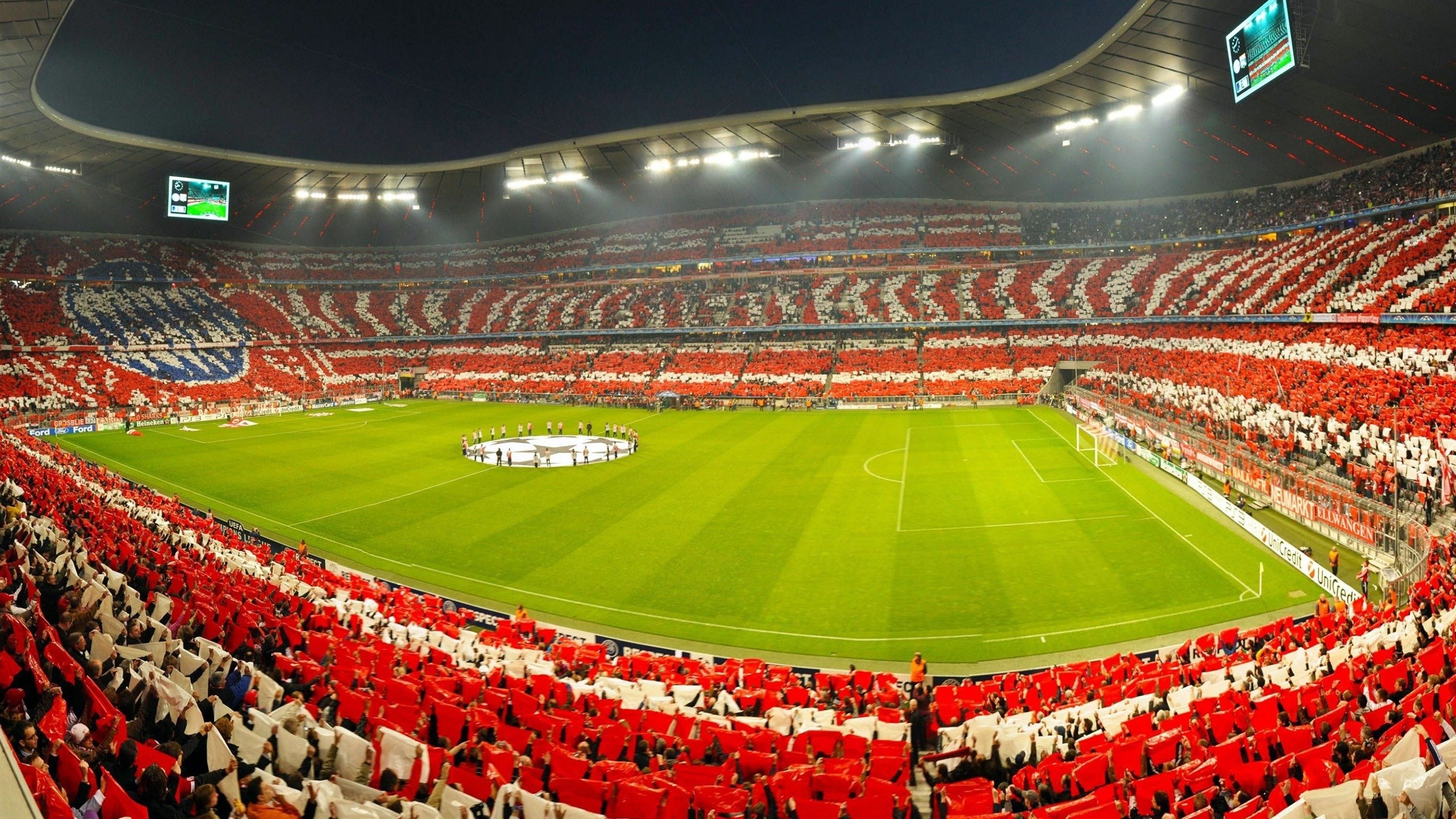 圭亚那垂钓运动成为旅游新亮点，圭亚那有什么好玩的